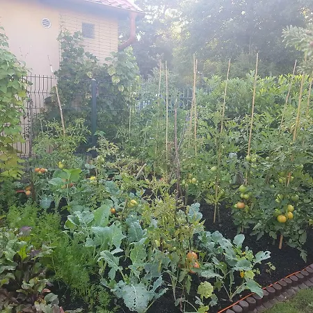 דירה Dom Colonia Zarnowska