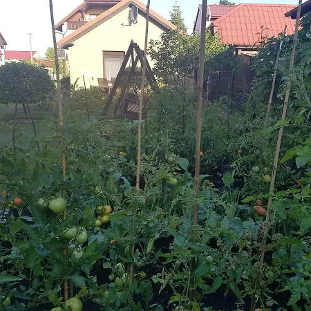 Dom Colonia * Zarnowska