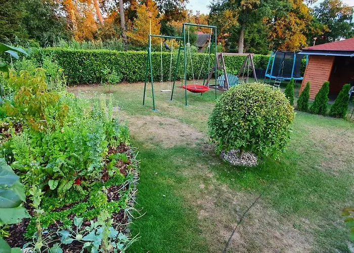 Апартаменты Dom Colonia *