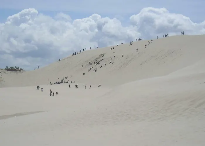 Апартаменты Dom Colonia