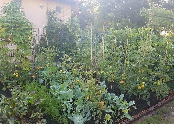 Апартаменты Dom Colonia Zarnowska